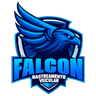 Falcon Rastreamento